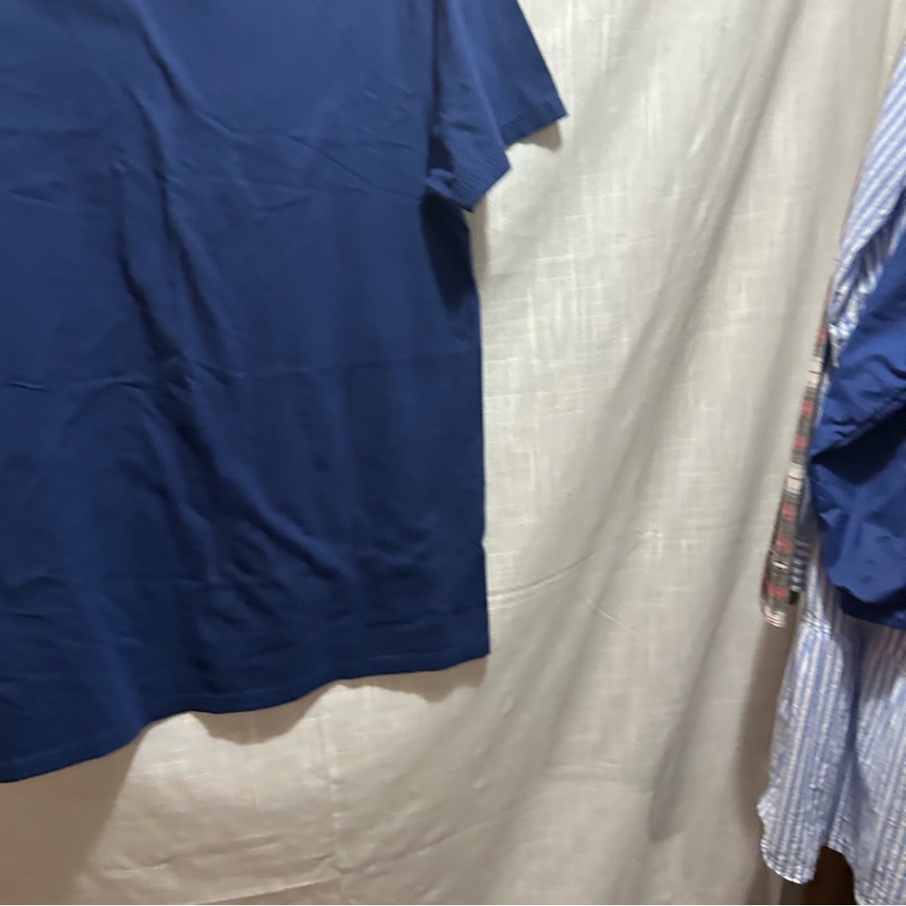 3/$15 Polo Ralph Lauren t-shirt L - Picture 3 of 3